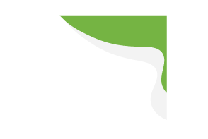 vector